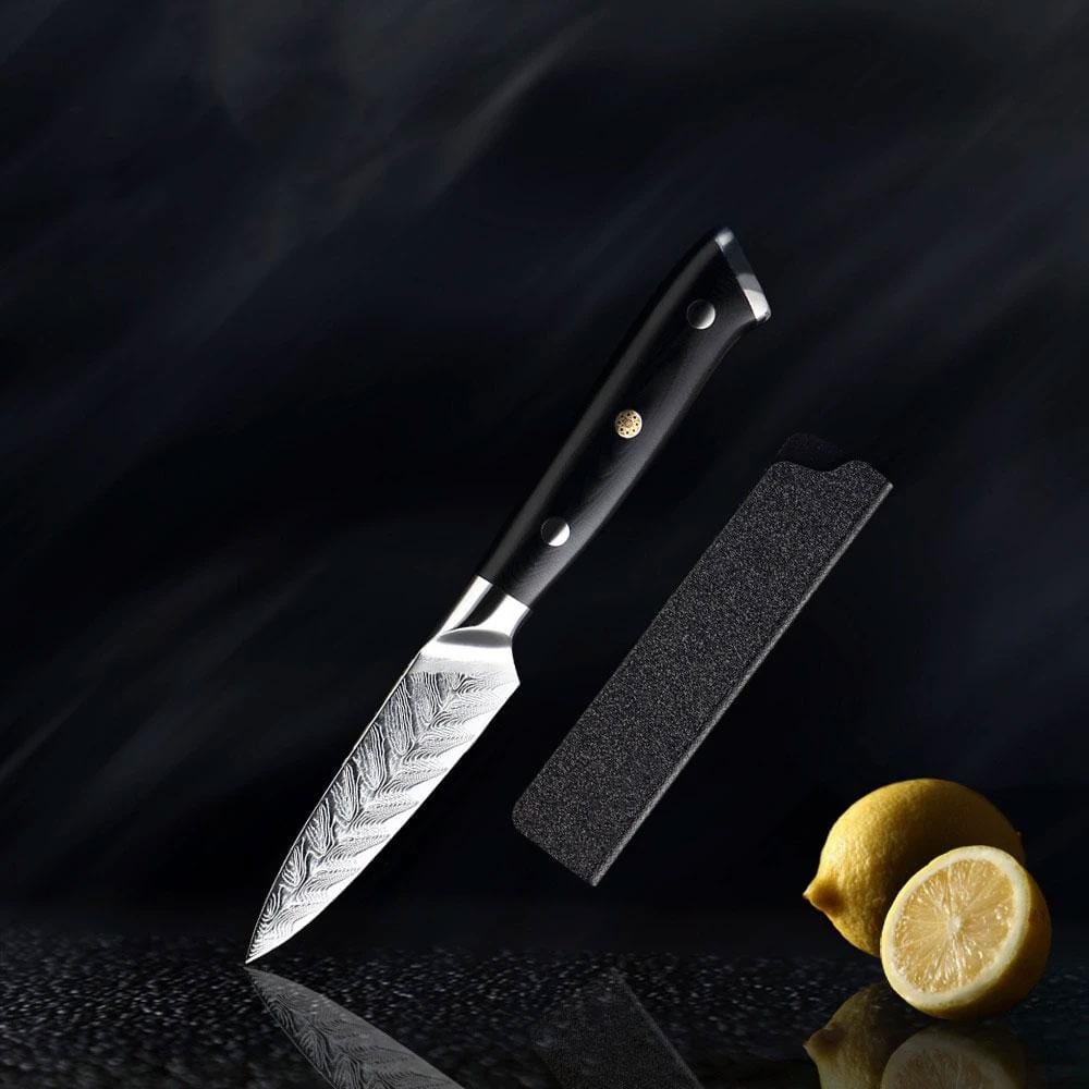 Riku (リク) Damas Vg10 Couteau