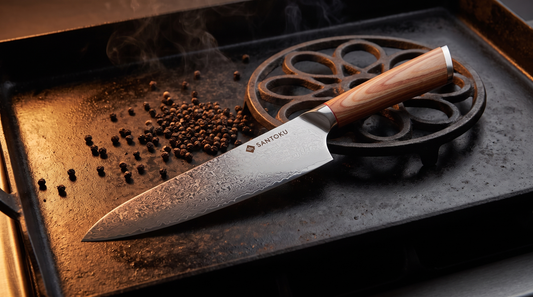 Why Every Kitchen Needs a Japanese Chef Knife